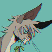 Jayfeather